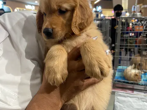 Pretty Relaxation Massage