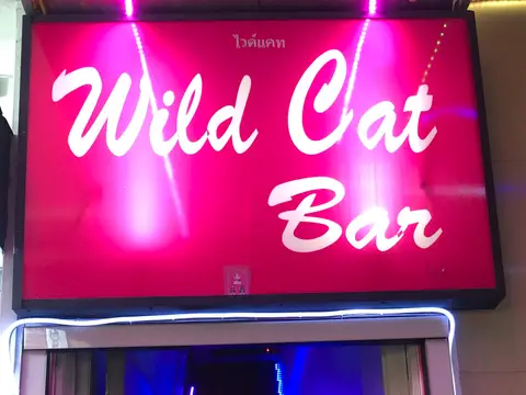 Wild Cat Bar