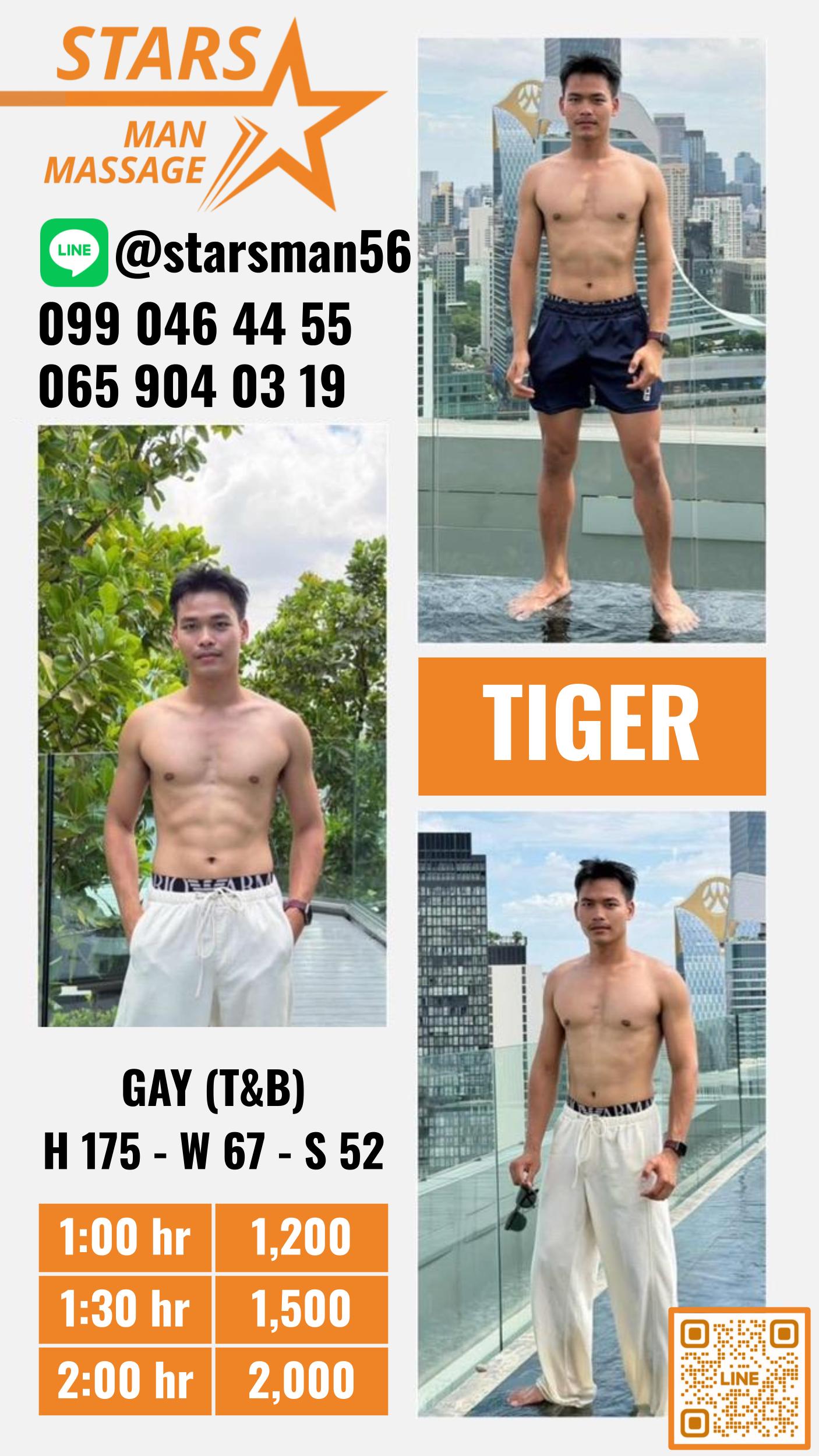 ຮູບທີ 2 ຂອງ Tiger