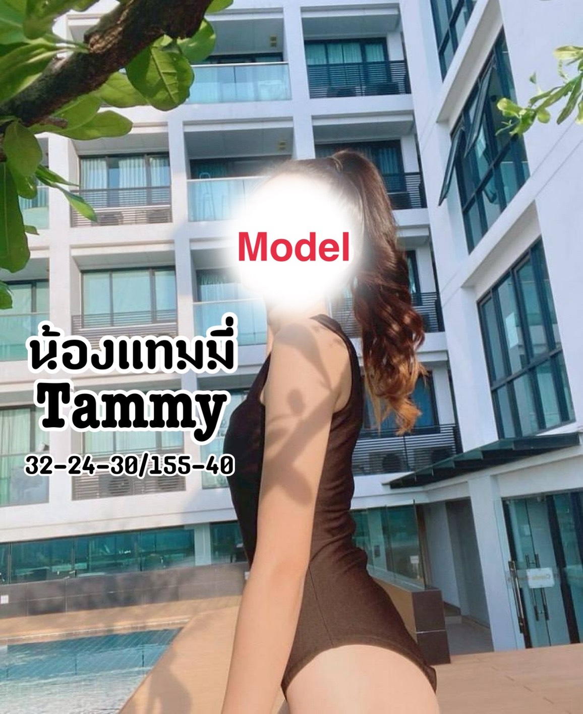 แทมมี่
