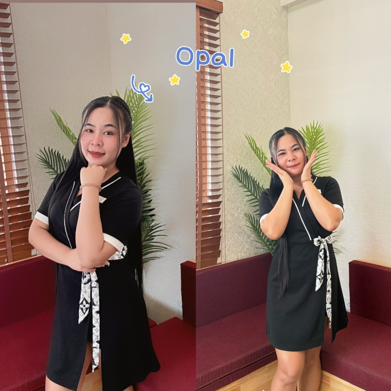 សមាជិក 1