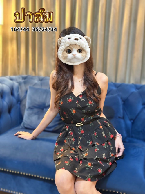 ปาล์ม