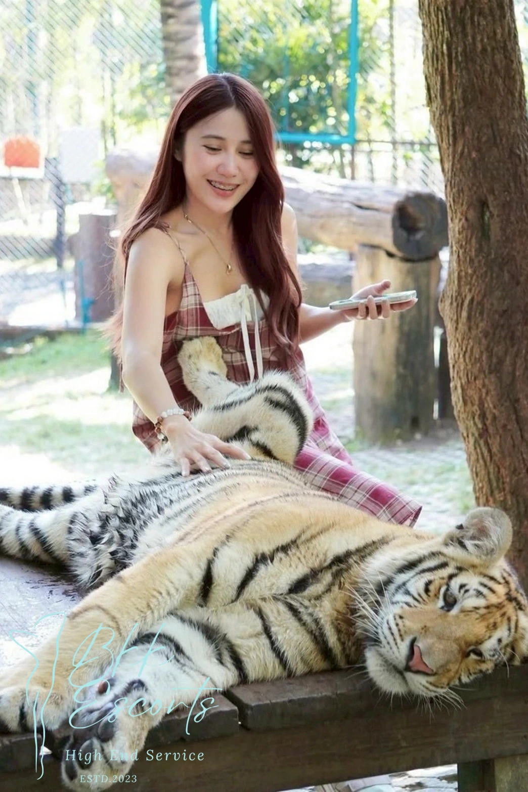 រូបទី 41 របស់ Liunic