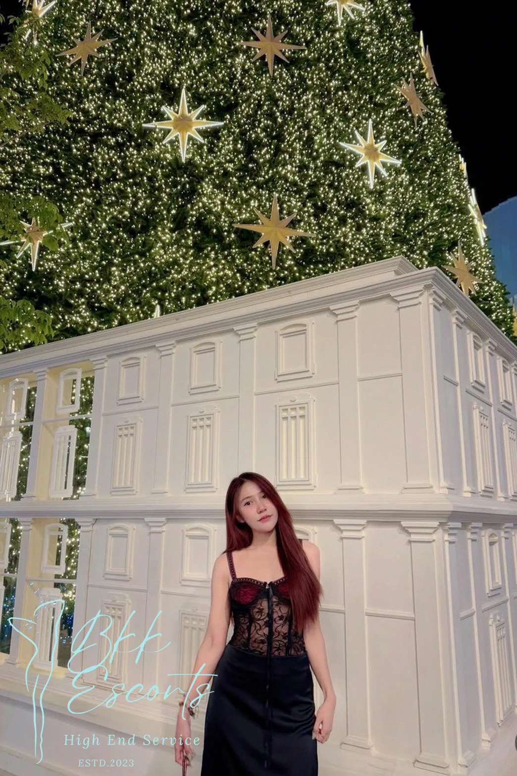 រូបទី 36 របស់ Liunic