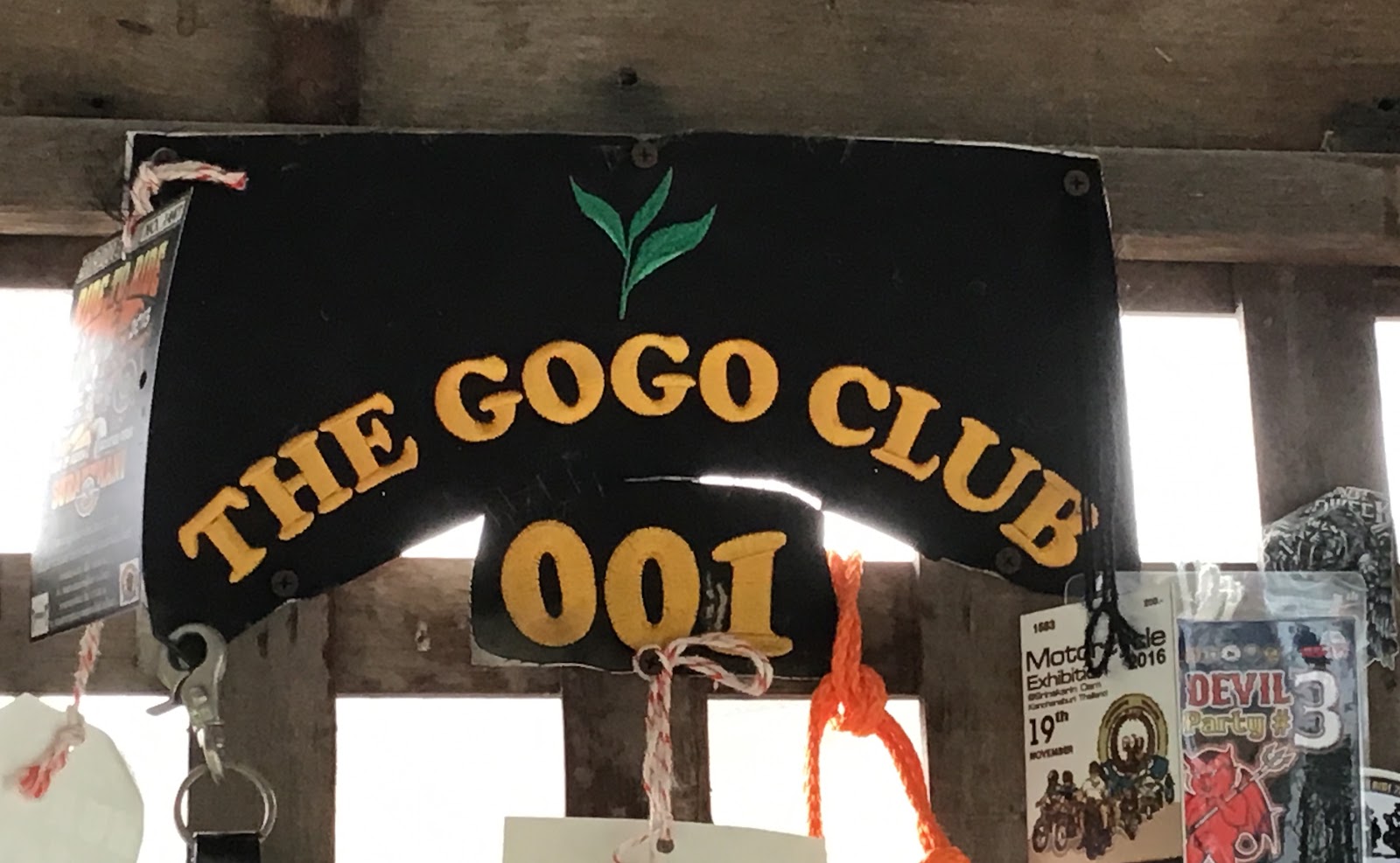The gogo club photo 7