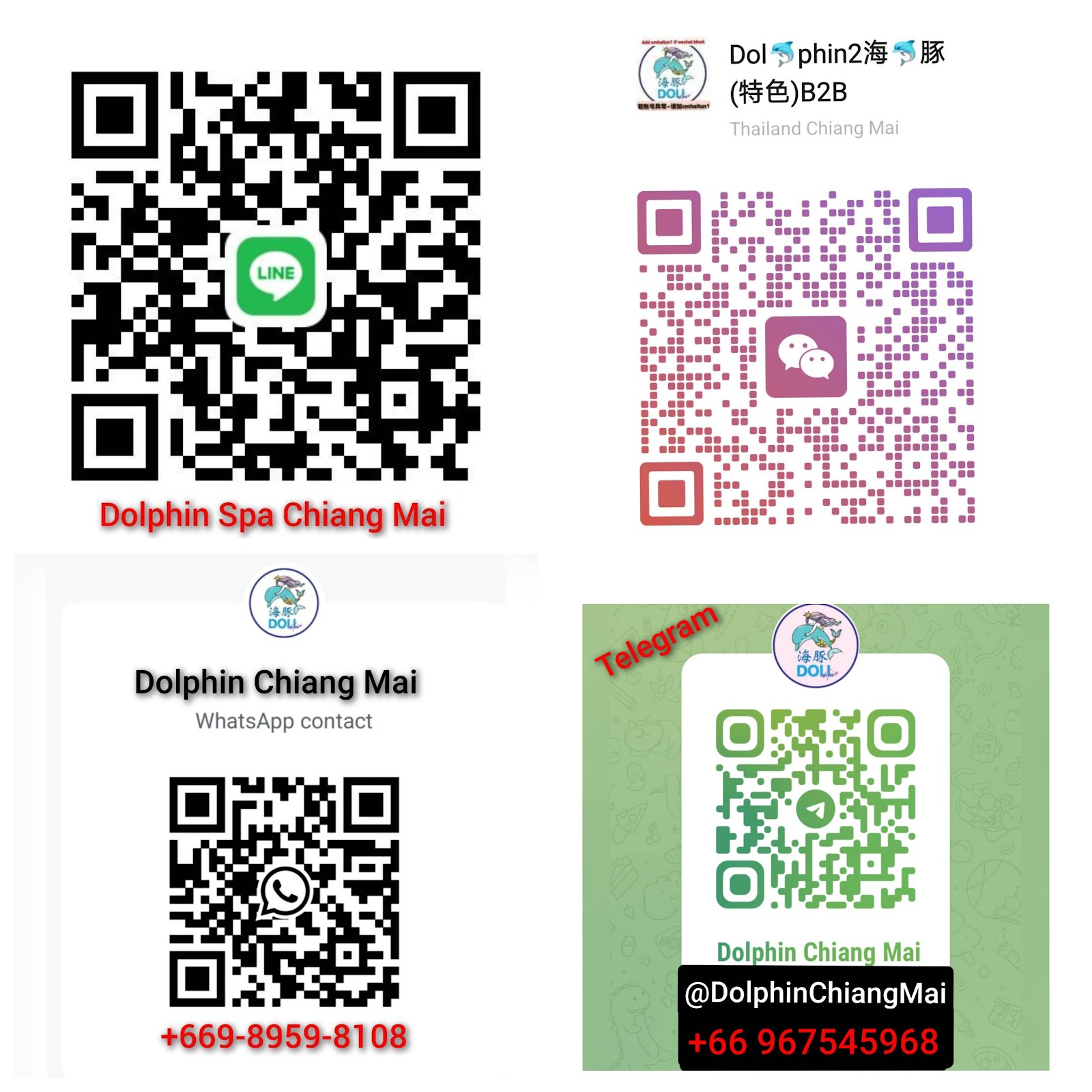 Dolphin 海豚~B2B/Karsai抓龙筋/Yoni抓凤筋 photo 11