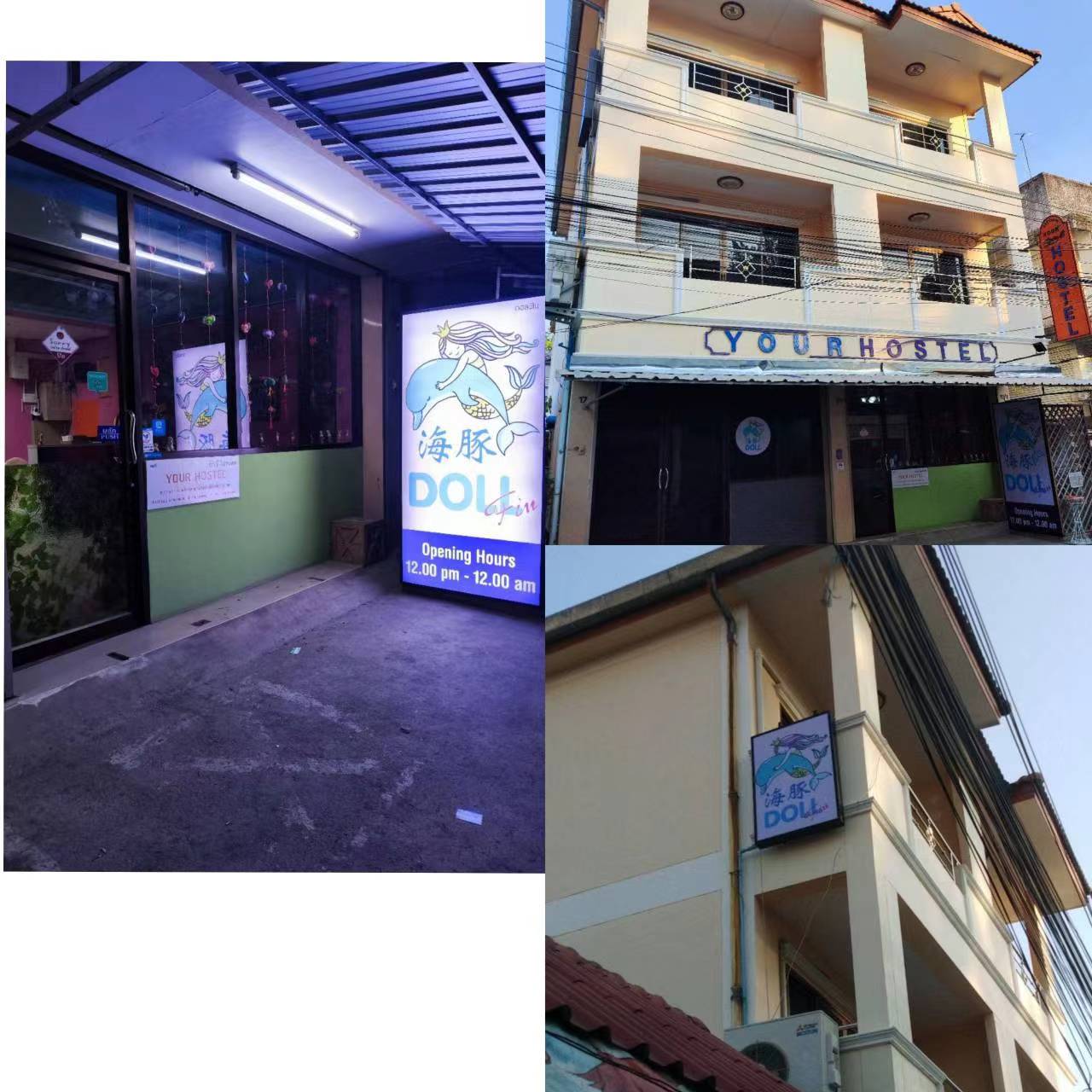 Dolphin 海豚~B2B/Karsai抓龙筋/Yoni抓凤筋 photo 7