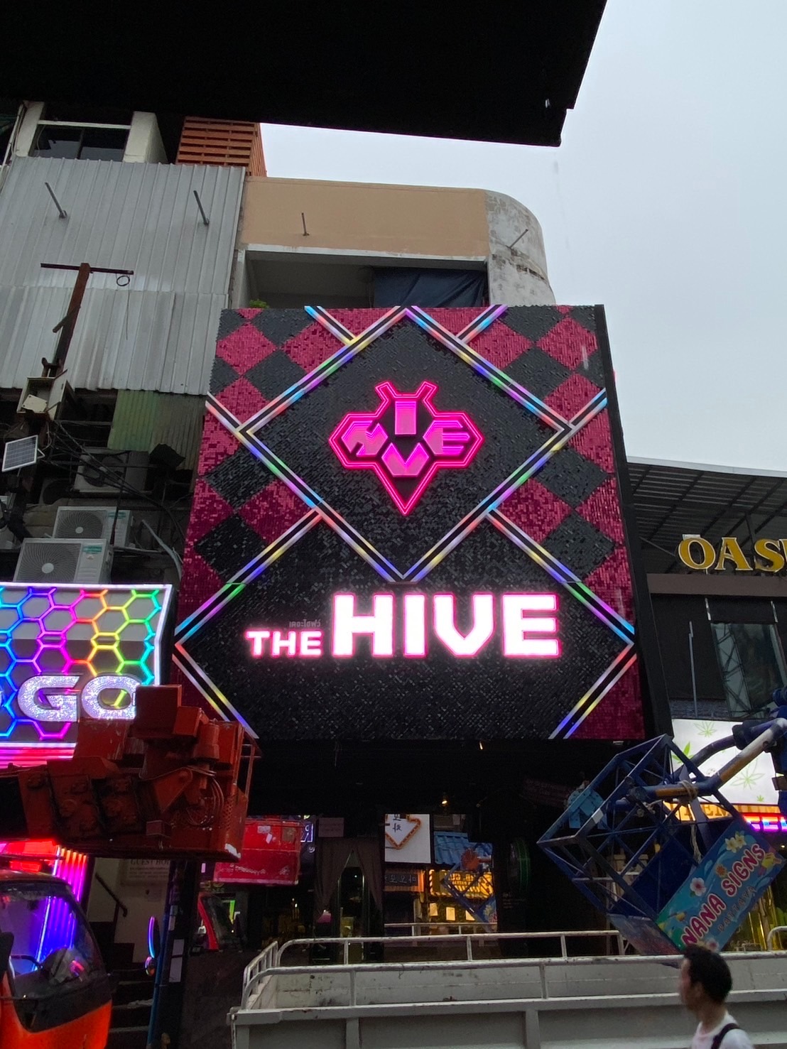 The HIVE a go go photo 8