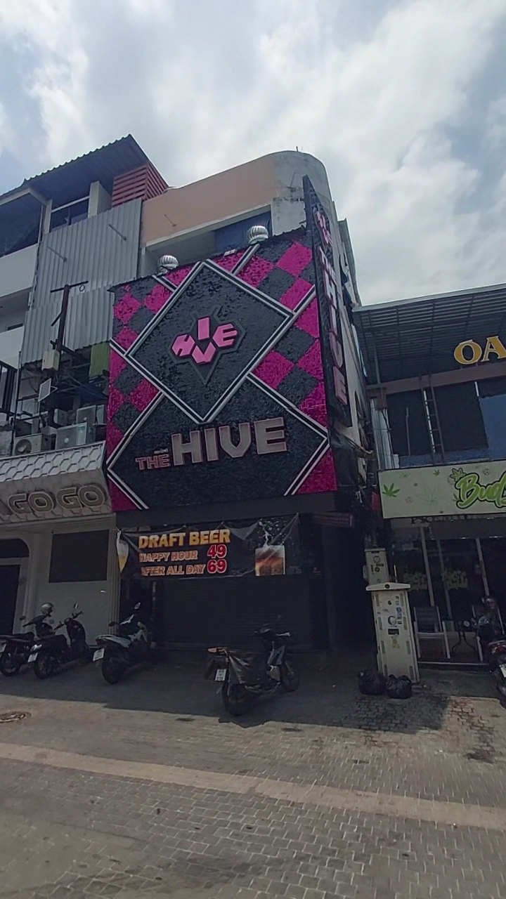 The HIVE a go go photo 15