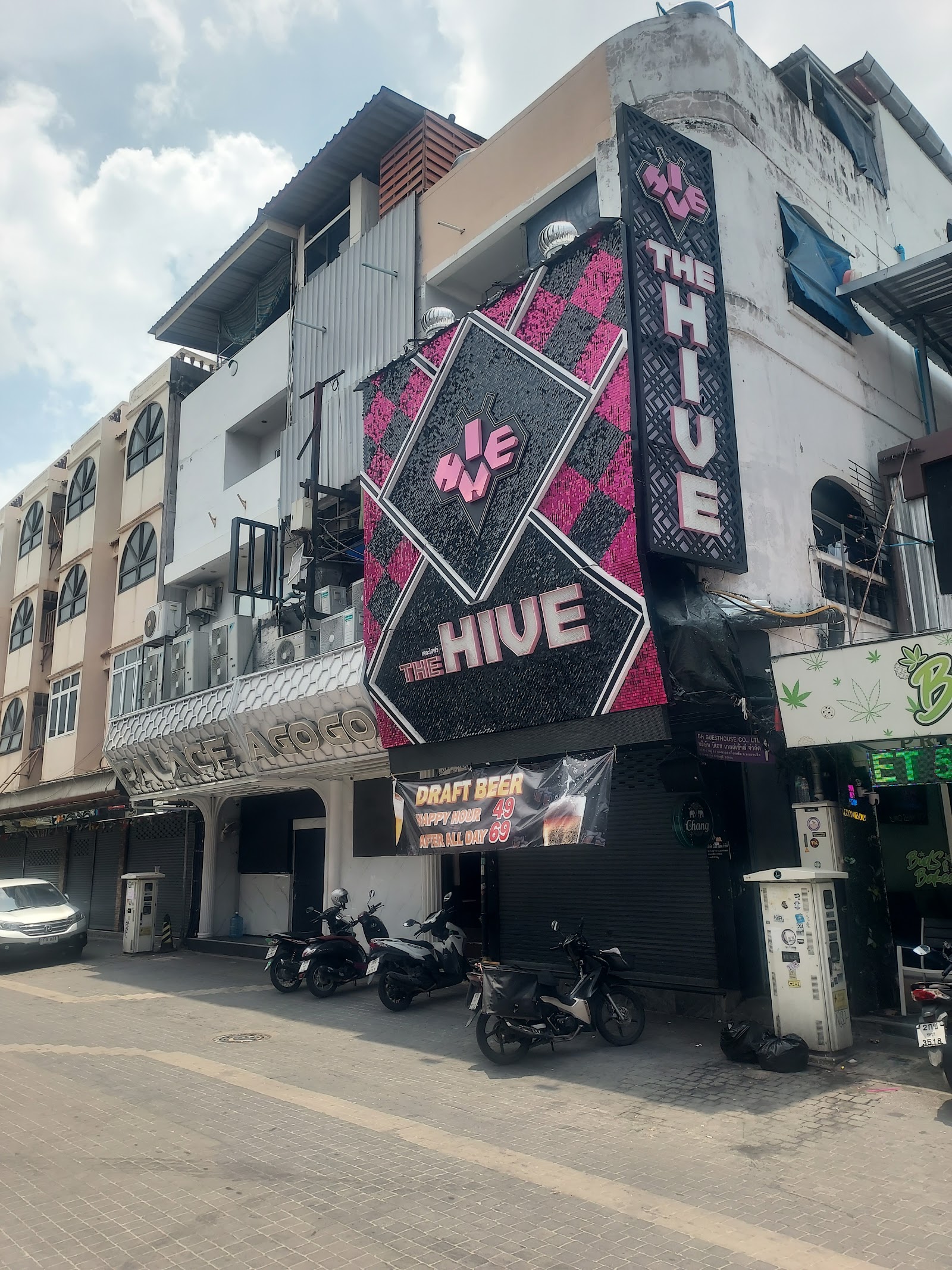 The HIVE a go go photo 14