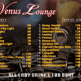 Venus Lounge Gentleman's Club photo 4