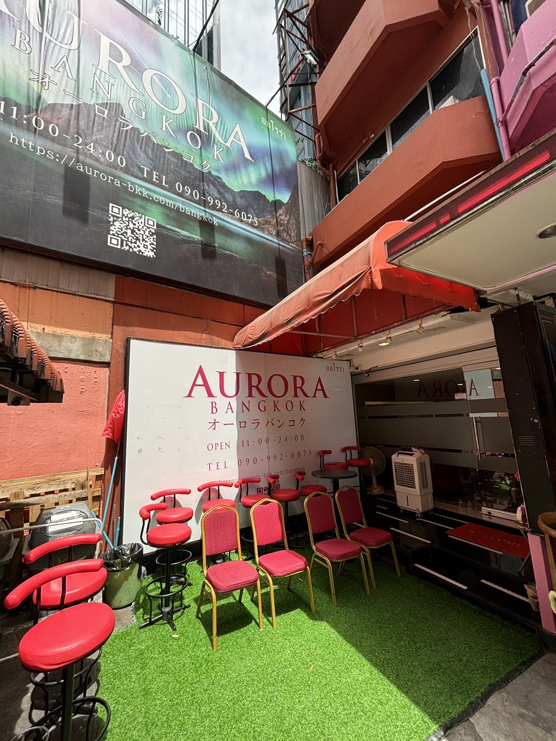 Aurora photo 9