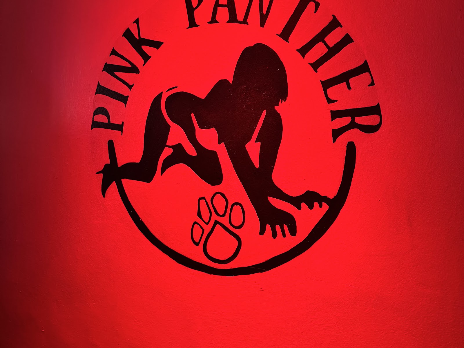 Pink Panther photo 29