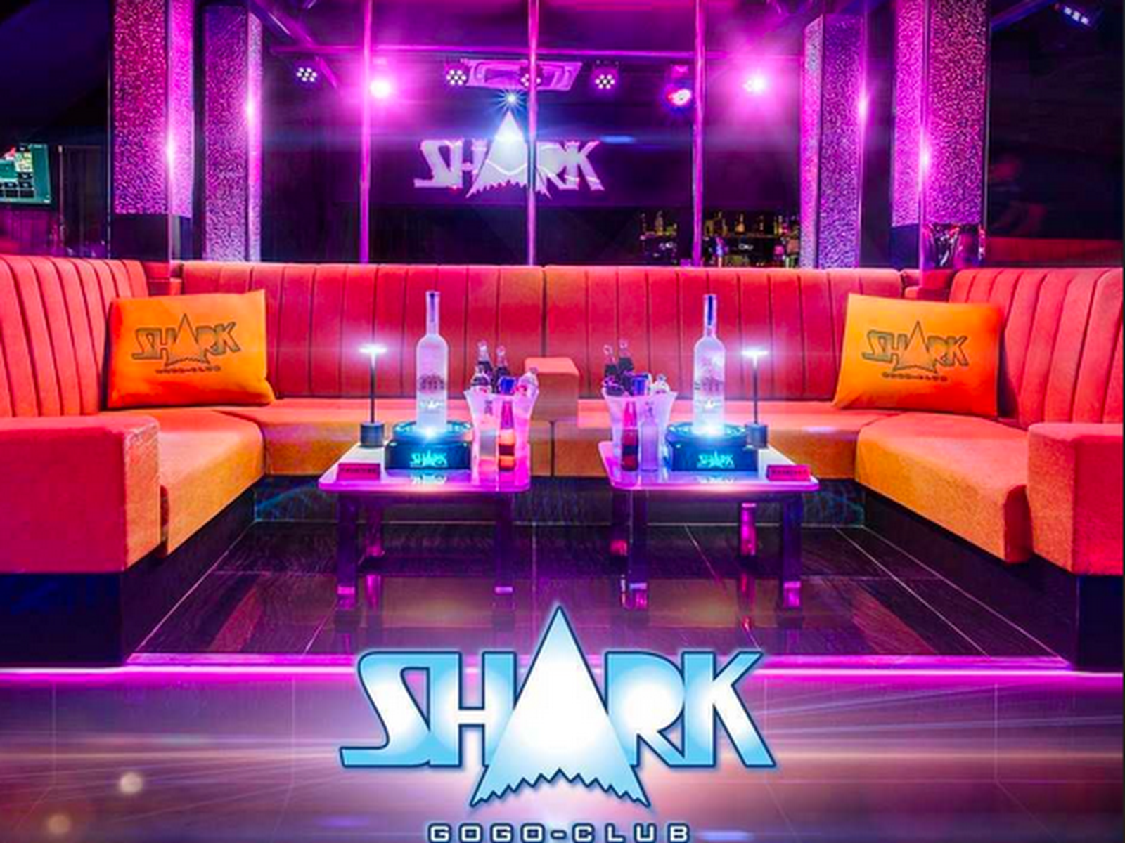 Shark Club Dancing Table photo 7