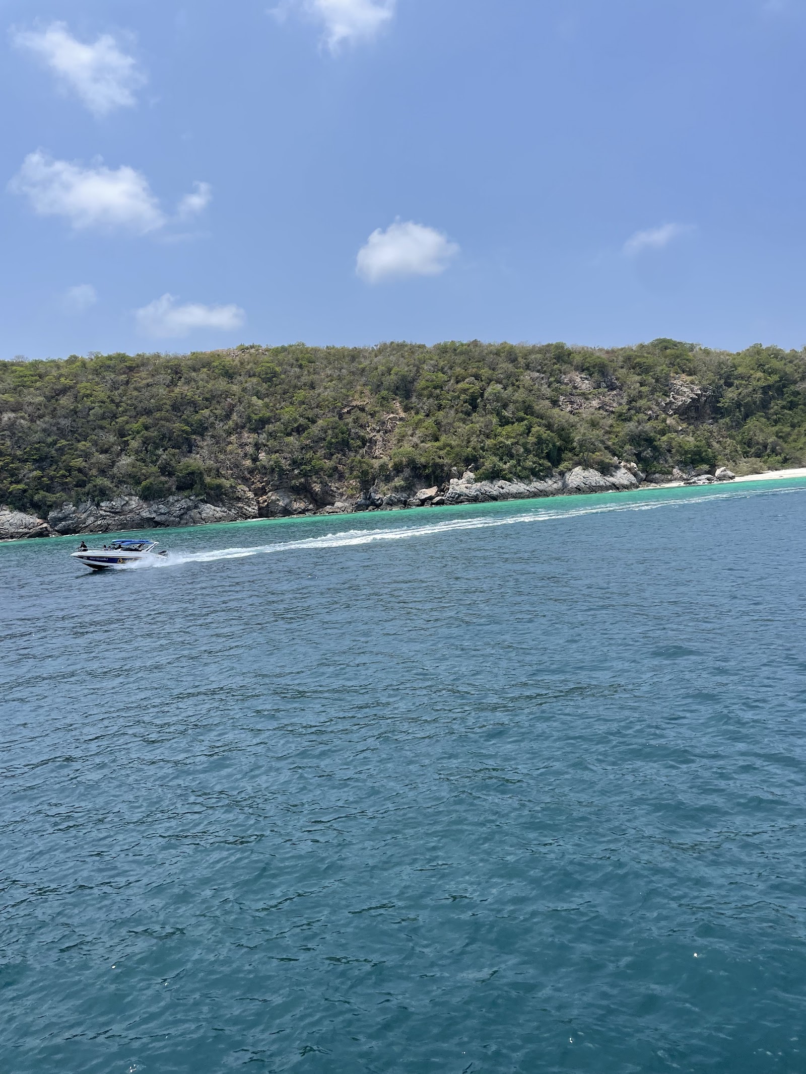 GOGO DIVERS photo 12