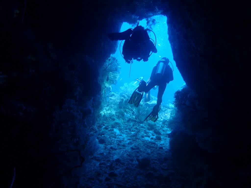 GOGO DIVERS photo 16