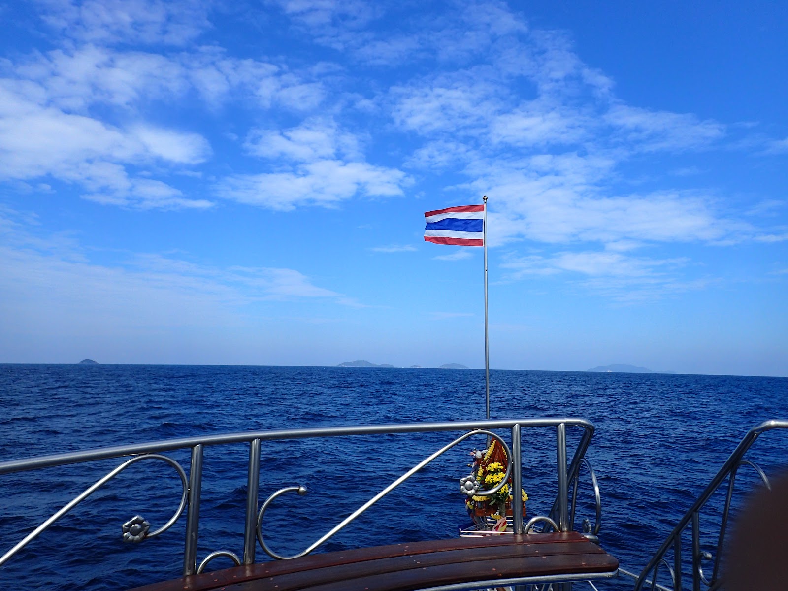 GOGO DIVERS photo 3