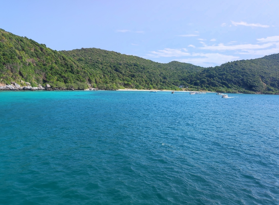 GOGO DIVERS photo 4