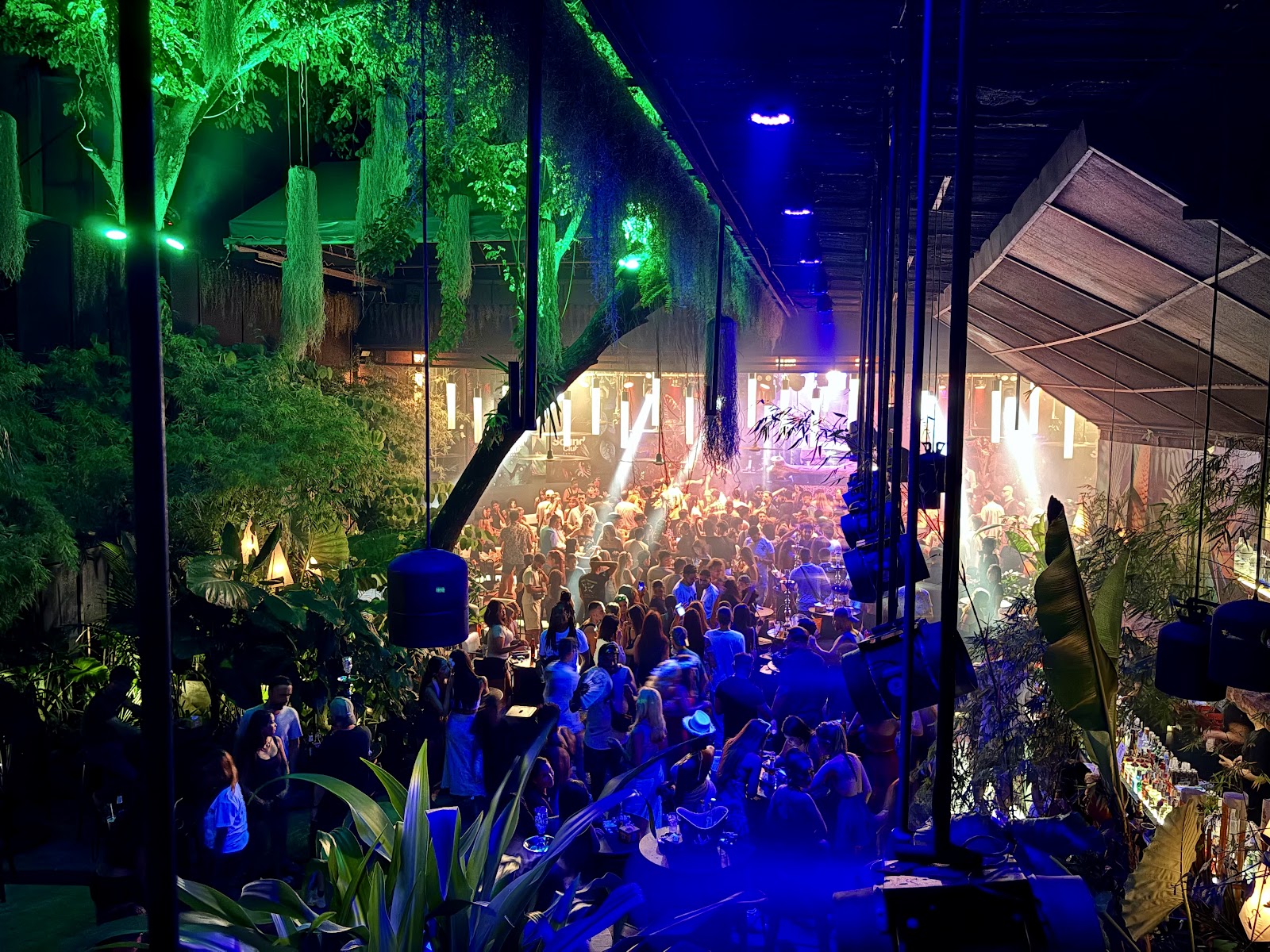 Sin By Night