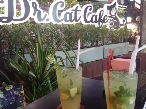 Dr. Cat Cafe