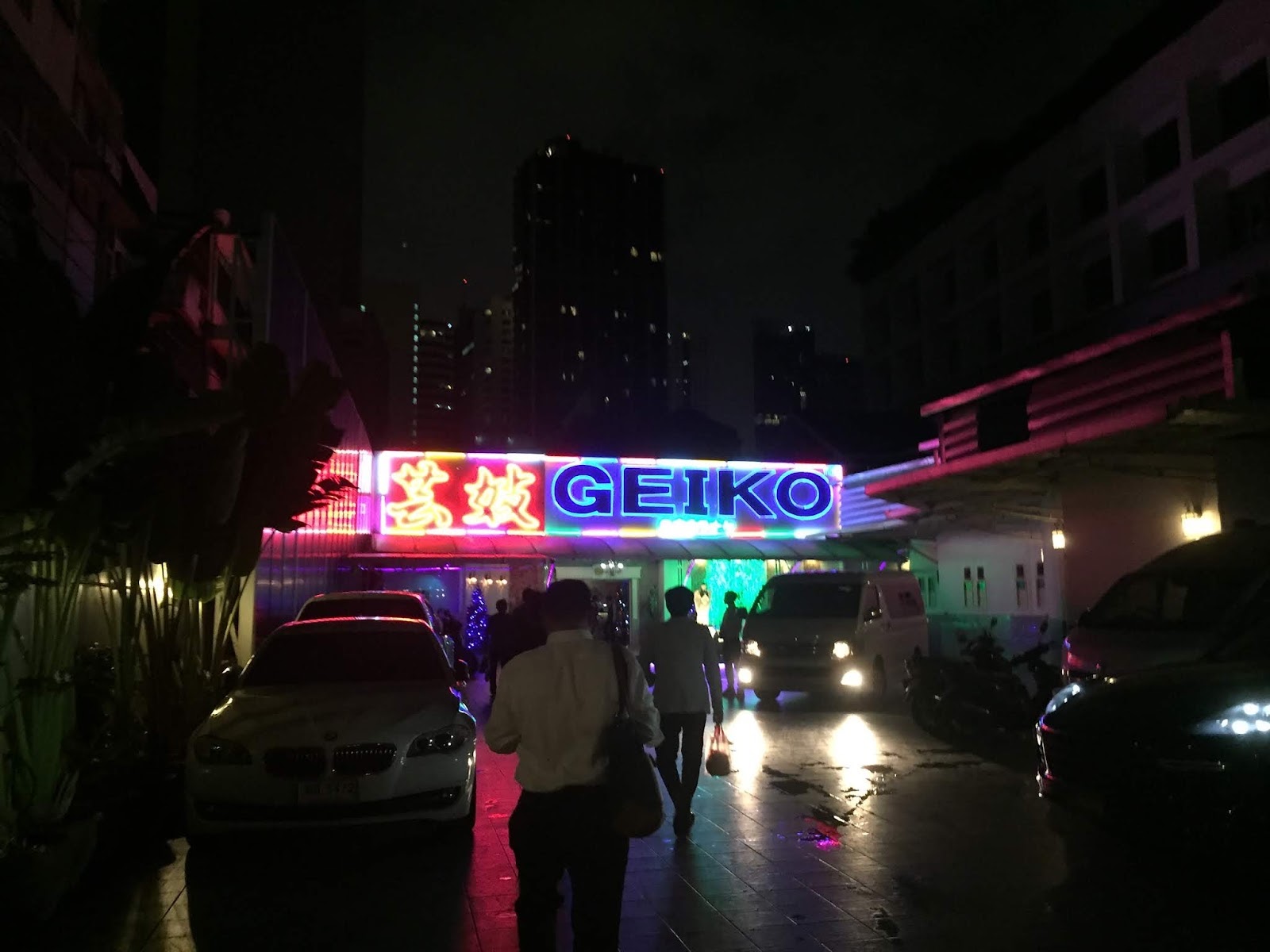 Geiko photo 12