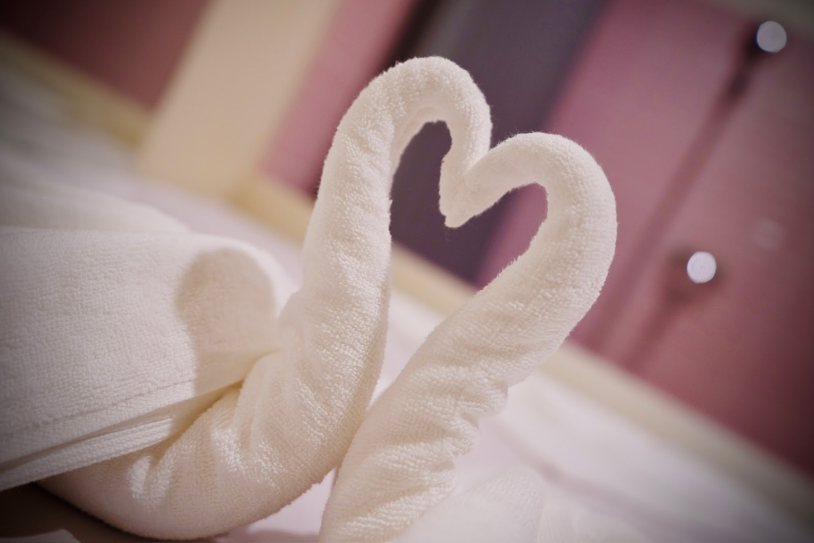 Aiyume photo 7