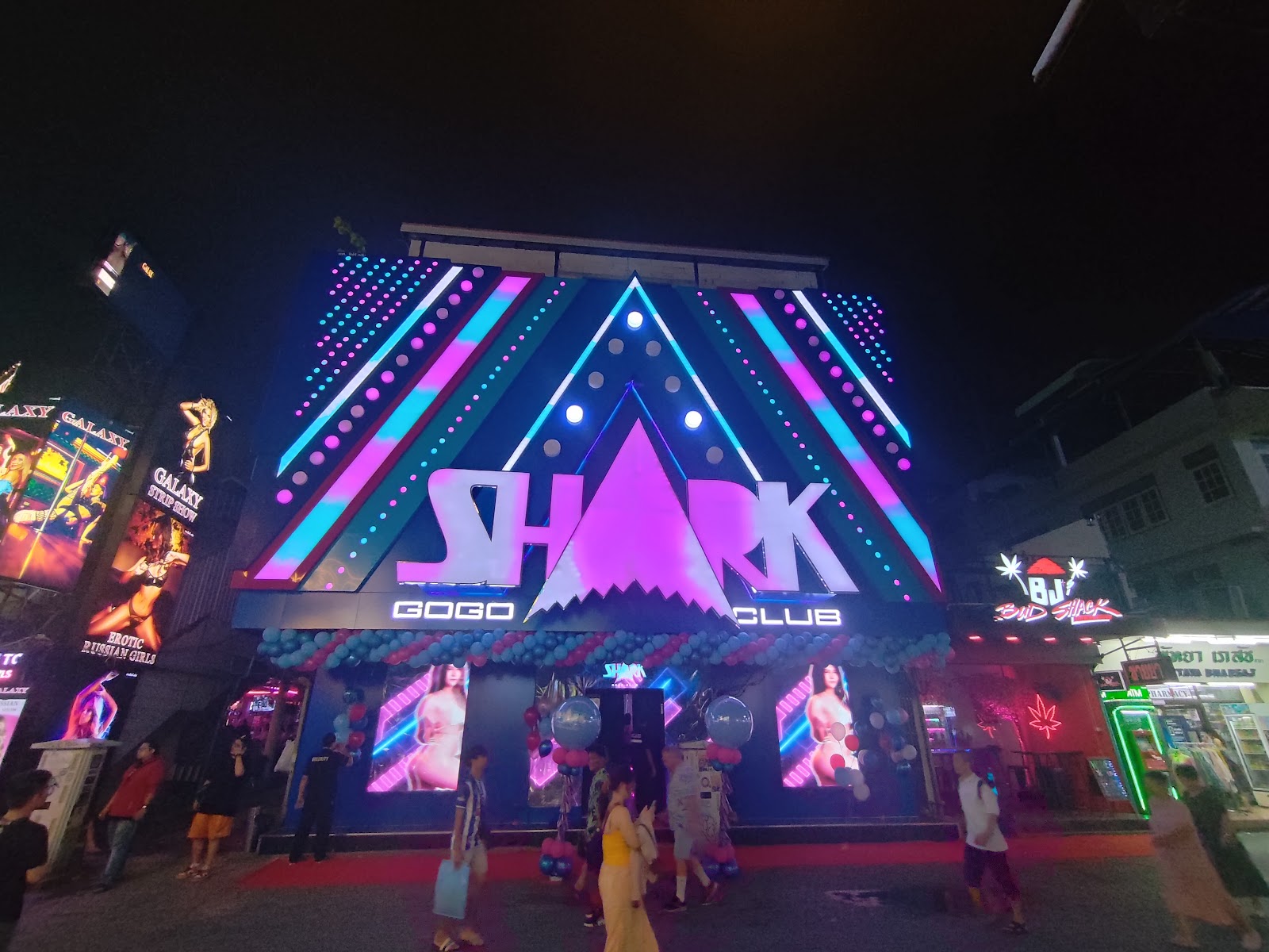 SHARK GOGO CLUB photo 4