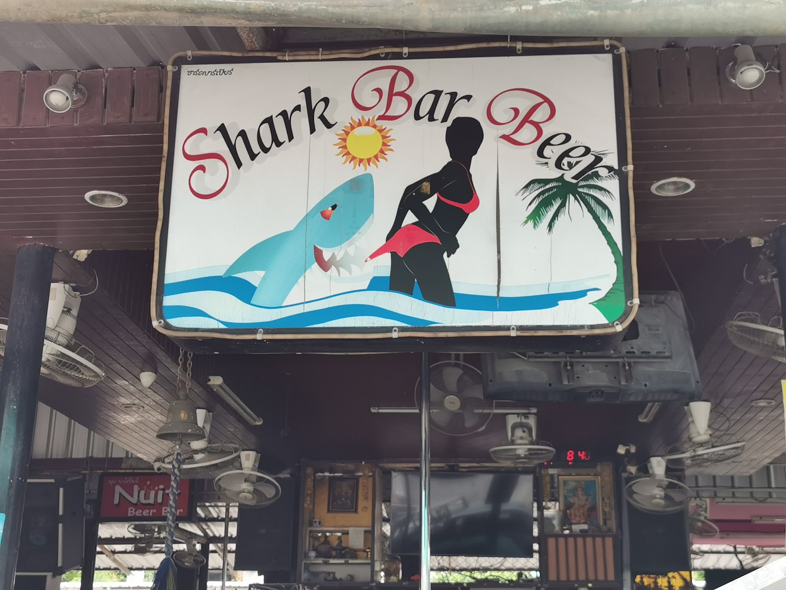 SHARK GOGO CLUB photo 23