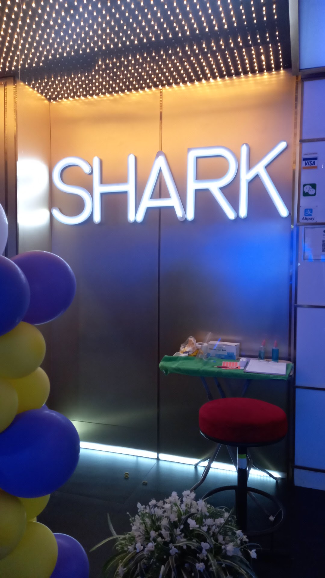 SHARK GOGO CLUB photo 21