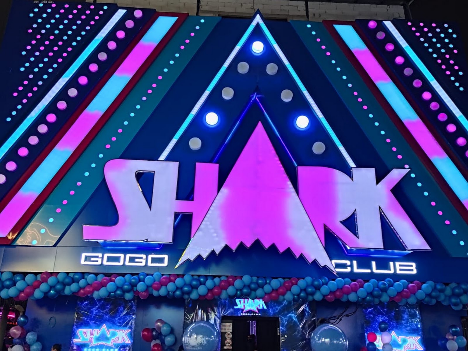 SHARK GOGO CLUB photo 30