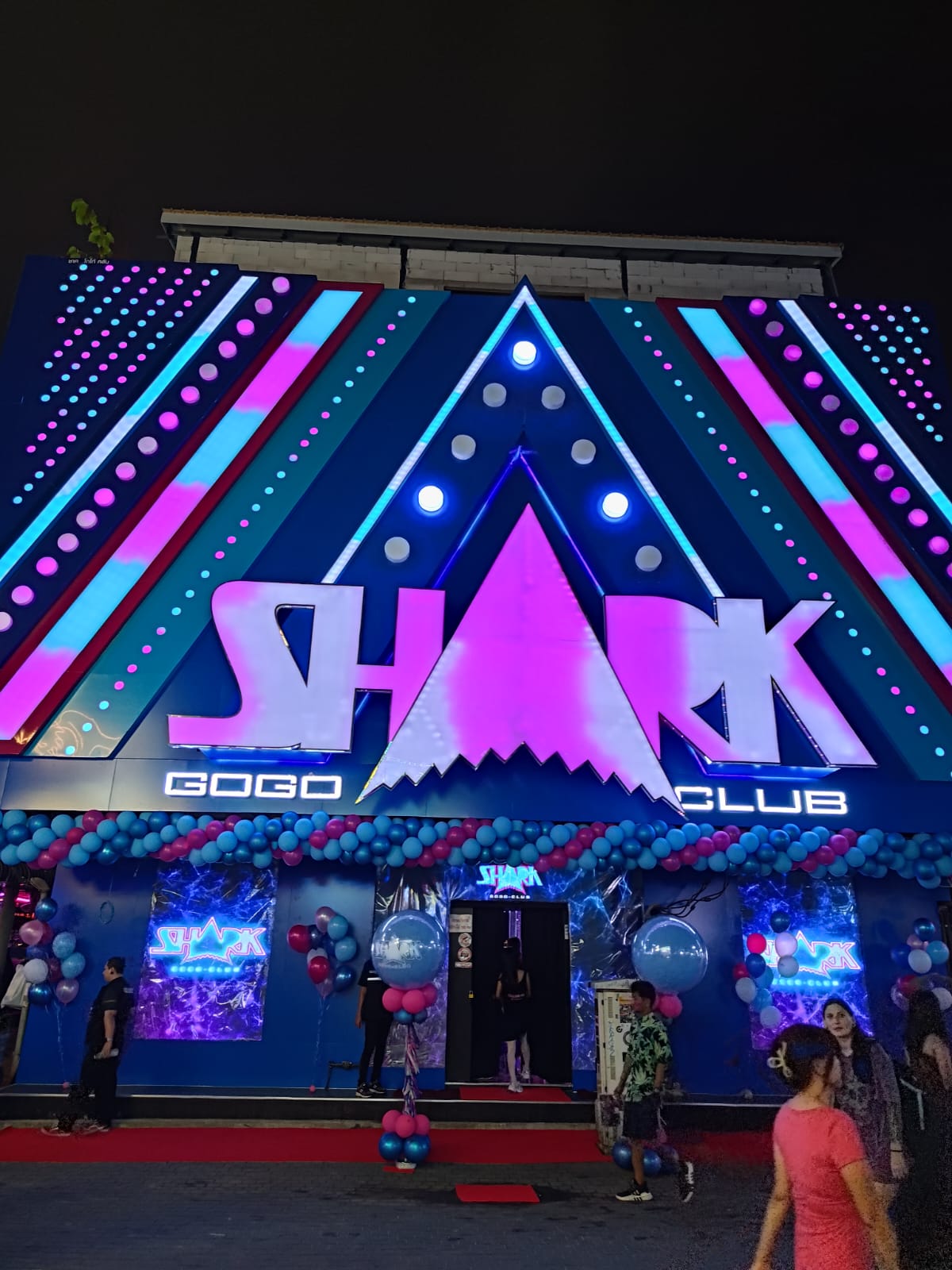 SHARK GOGO CLUB photo 14