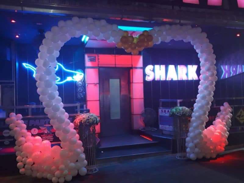 SHARK GOGO CLUB photo 18