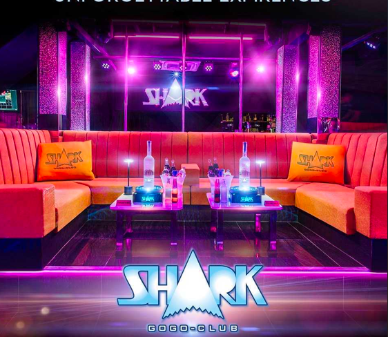 SHARK GOGO CLUB photo 15