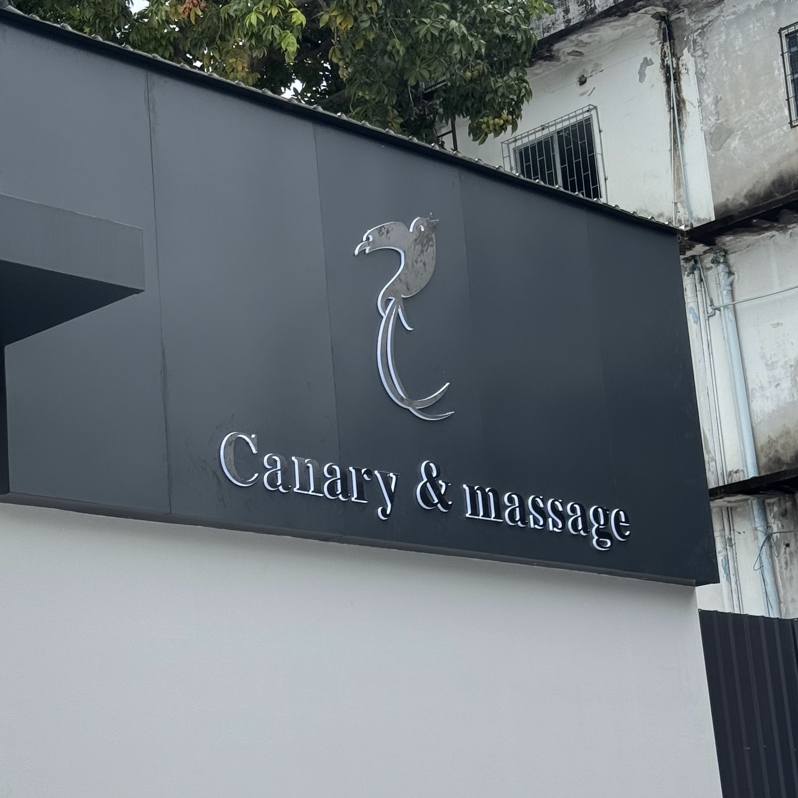 Canary Massage photo 5