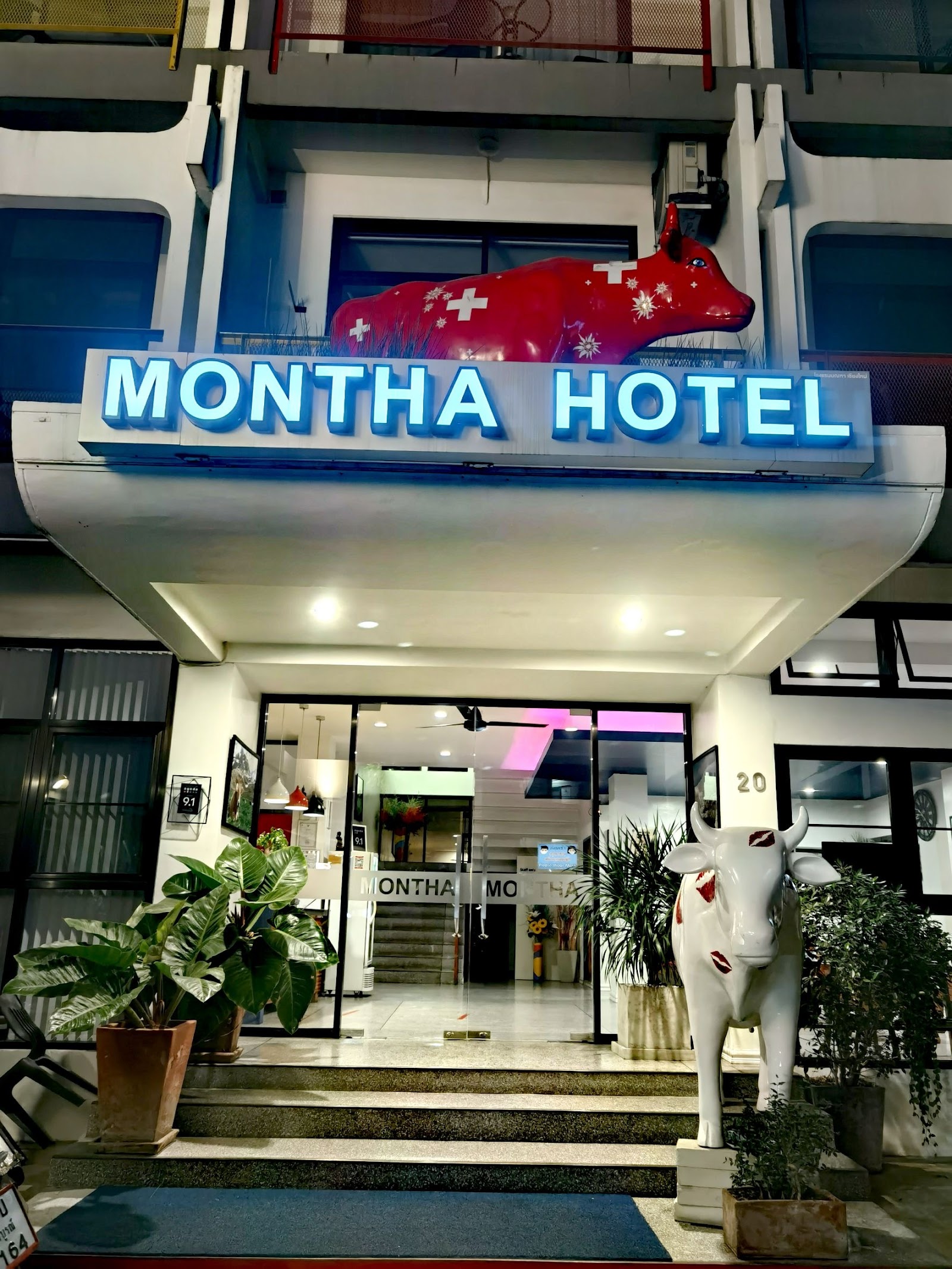 Home Alone Outcall Massage Services Chiang Mai 上门按摩服务 photo 3