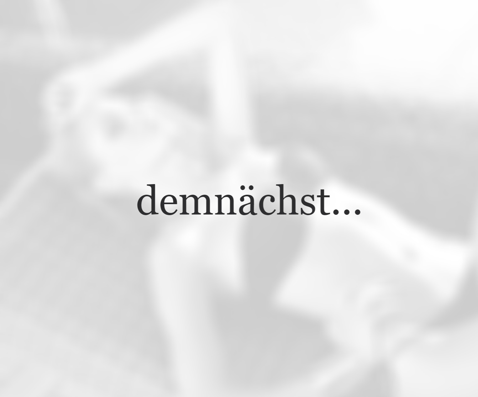 Termine Anwesenheit photo 30