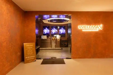 Wellmax Saunatainment