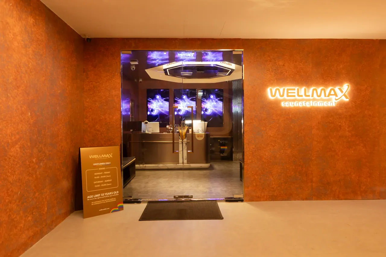 Wellmax Saunatainment