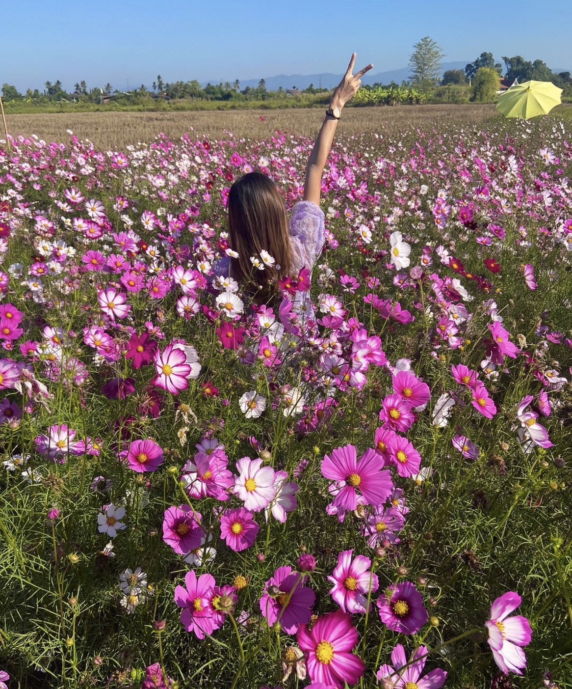 Summer photo 3