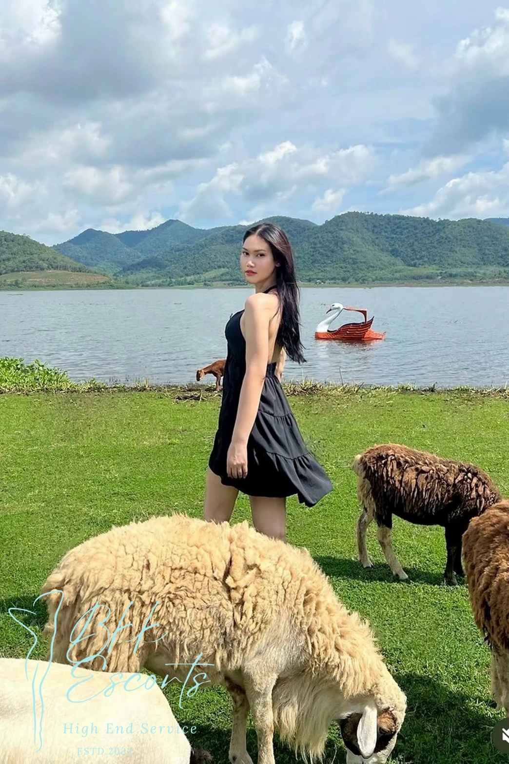 Carrera photo 12