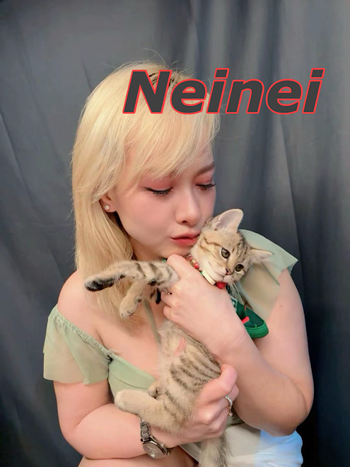 Neinei photo 2
